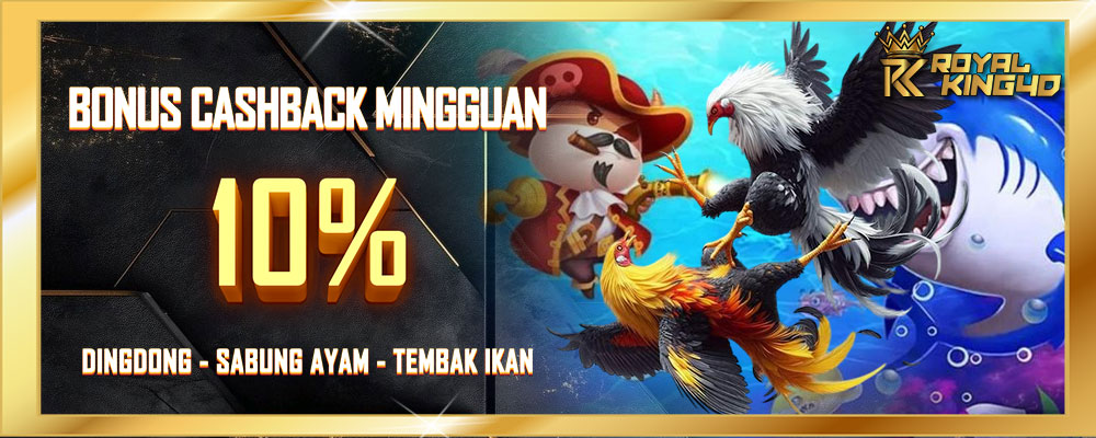 Cashback Mingguan DingDong, Sabung Ayam, dan Temba